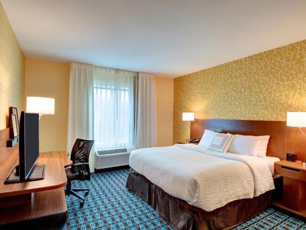 Fairfield Inn & Suites by Marriott Nashville Downtown-MetroCenter : photo 1 de la chambre chambre lit king-size