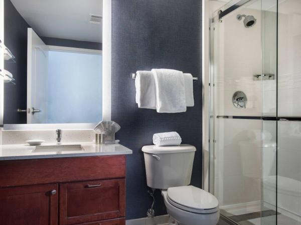 Residence Inn Memphis Downtown : photo 6 de la chambre studio queen avec vue sur la ville