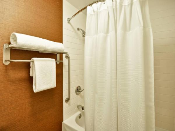 Fairfield Inn & Suites Dallas Medical/Market Center : photo 3 de la chambre chambre avec 2 grands lits queen-size