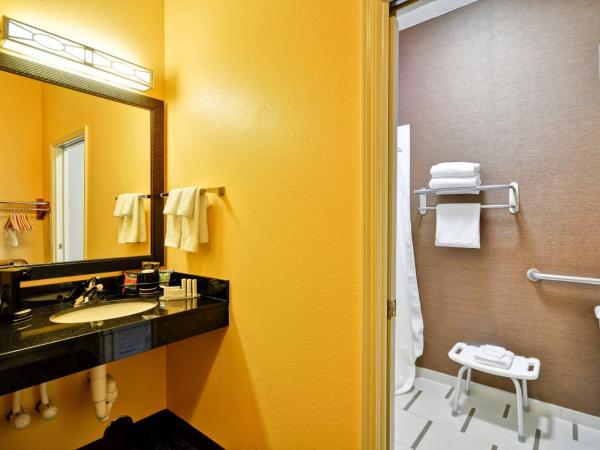 Fairfield Inn & Suites Dallas Medical/Market Center : photo 4 de la chambre chambre lit king-size