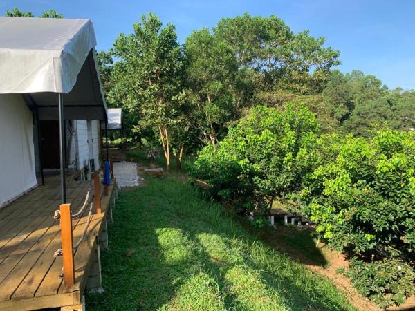 Canopy Villa Sireh Park : photo 8 de la chambre tente