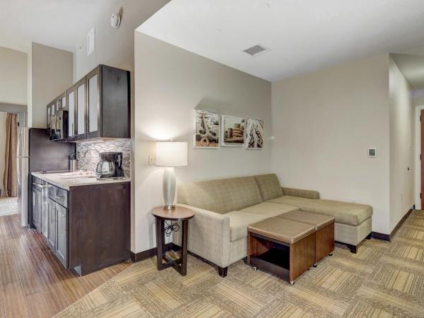 Staybridge Suites Baltimore - Inner Harbor, an IHG Hotel : photo 9 de la chambre suite 1 chambre lit king-size avec canapé-lit