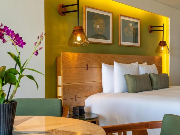 Presidente InterContinental Cozumel Resort & Spa, an IHG Hotel : photo 2 de la chambre premium king room with reef view - beach access