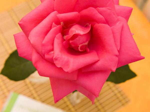 Kahlua Hotel Apartments : photo 3 de la chambre studio (2 adultes)