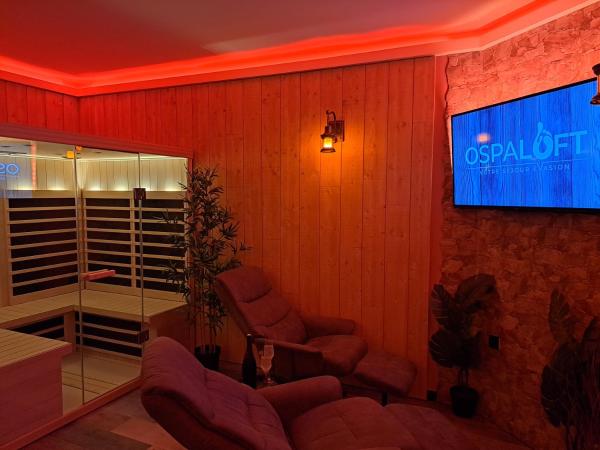 Ospaloft, meublé haut de gamme avec spa privatif : photo 1 de la chambre appartement avec spa privé et jacuzzi