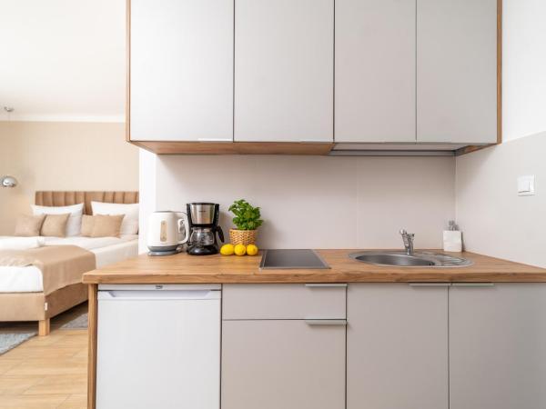 Panorama Park : photo 8 de la chambre deluxe apartment for two people with kitchenette