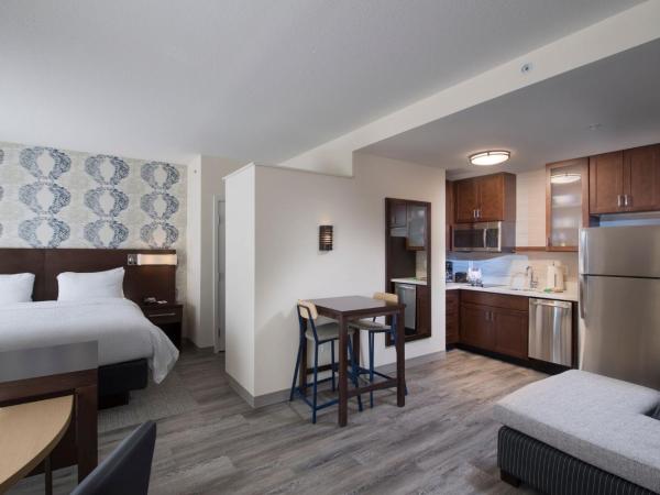Residence Inn Atlanta Perimeter Center Dunwoody : photo 1 de la chambre studio lit king-size avec canapé-lit