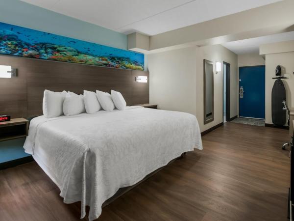 Red Roof PLUS & Suites Virginia Beach - Seaside : photo 2 de la chambre chambre lit king-size premium accessible aux personnes à mobilité réduite - non-fumeurs - vue partielle sur océan