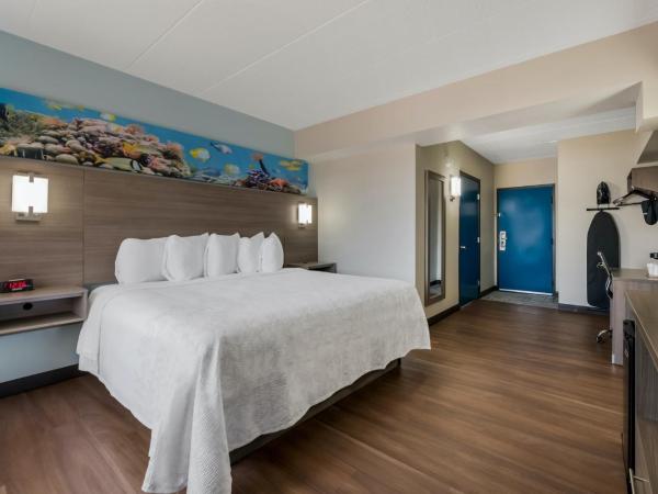 Red Roof PLUS & Suites Virginia Beach - Seaside : photo 6 de la chambre chambre lit king-size premium accessible aux personnes à mobilité réduite - non-fumeurs - vue partielle sur océan