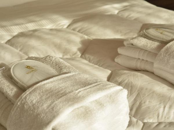 Royal Garden luxury rooms : photo 10 de la chambre chambre double avec baignoire spa