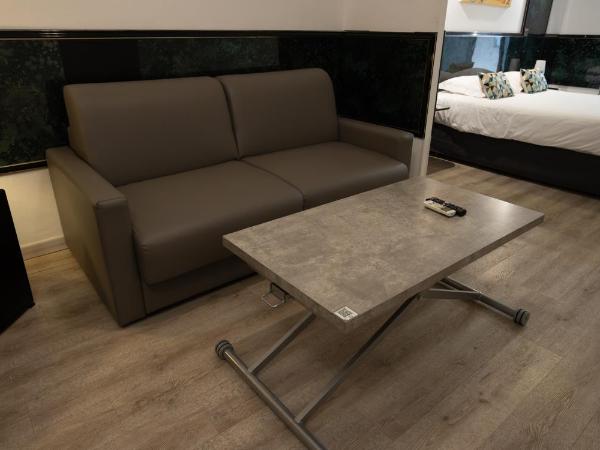 Hôtel Napoléon : photo 7 de la chambre suite junior confort