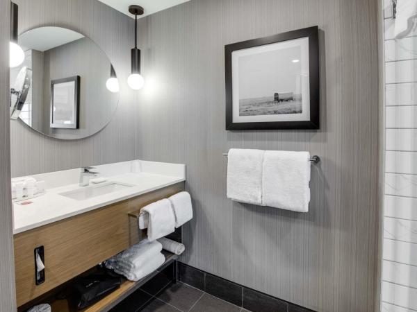 Sandman Signature Saskatoon South Hotel : photo 7 de la chambre standard room, 1 king bed, sofa bed, euro style shower