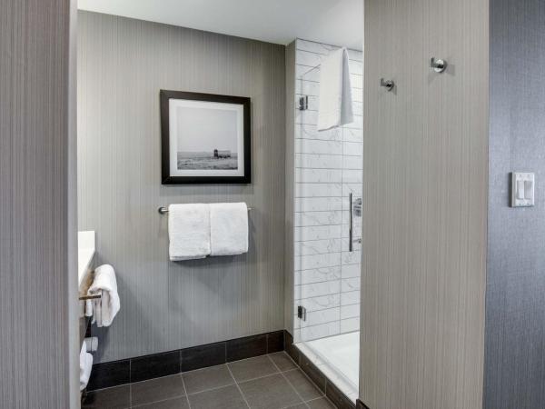 Sandman Signature Saskatoon South Hotel : photo 8 de la chambre standard room, 1 king bed, sofa bed, euro style shower