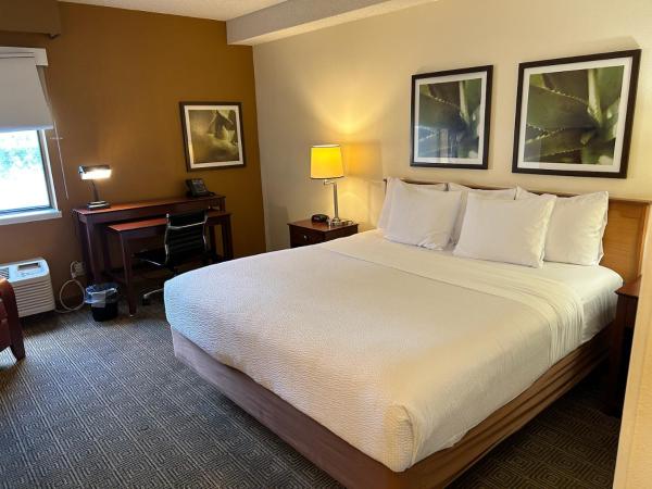 La Quinta by Wyndham Orlando South : photo 2 de la chambre chambre lit king-size