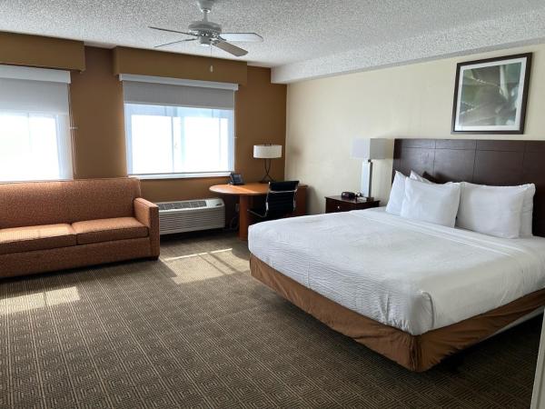 La Quinta by Wyndham Orlando South : photo 4 de la chambre chambre lit king-size exécutive