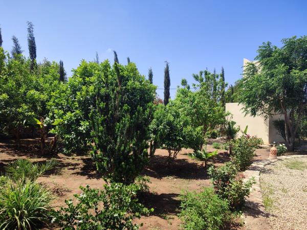 Riad Bini-Ddik : photo 2 de la chambre chambre double ou lits jumeaux