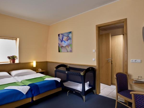 Jagelló Business Hotel : photo 2 de la chambre appartement 1 chambre