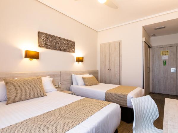 Sweet Hotel Continental : photo 1 de la chambre chambre double ou lits jumeaux