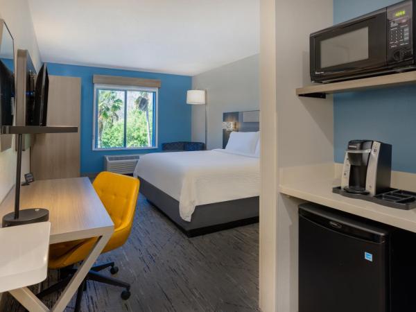 Holiday Inn Express and Suites Tampa I-75 at Bruce B. Downs, an IHG Hotel : photo 5 de la chambre chambre lit king-size standard