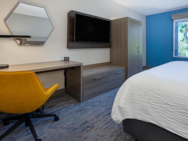 Holiday Inn Express and Suites Tampa I-75 at Bruce B. Downs, an IHG Hotel : photo 4 de la chambre chambre lit king-size standard