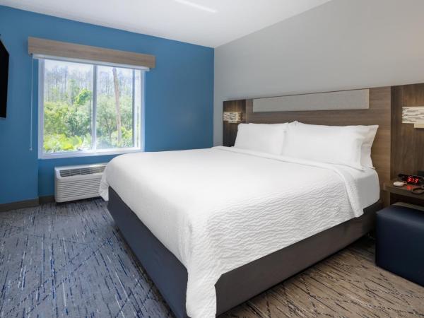 Holiday Inn Express and Suites Tampa I-75 at Bruce B. Downs, an IHG Hotel : photo 3 de la chambre suite lit king-size exécutive