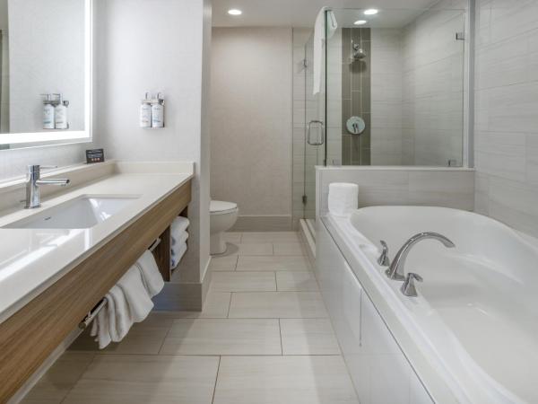 Holiday Inn Express and Suites Tampa I-75 at Bruce B. Downs, an IHG Hotel : photo 1 de la chambre suite lit king-size exécutive