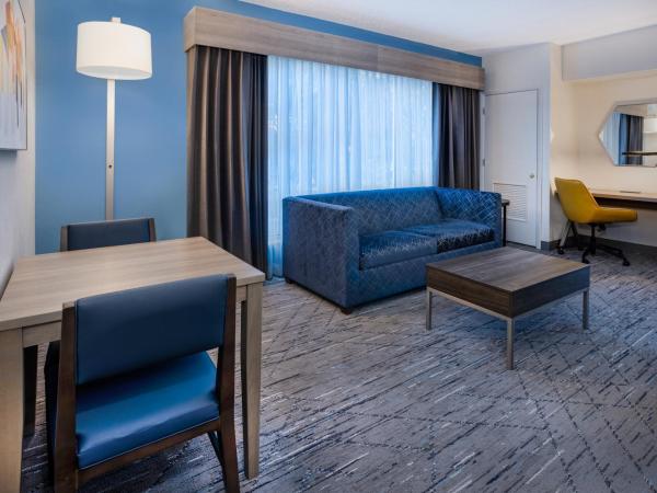 Holiday Inn Express and Suites Tampa I-75 at Bruce B. Downs, an IHG Hotel : photo 4 de la chambre suite 2 chambres