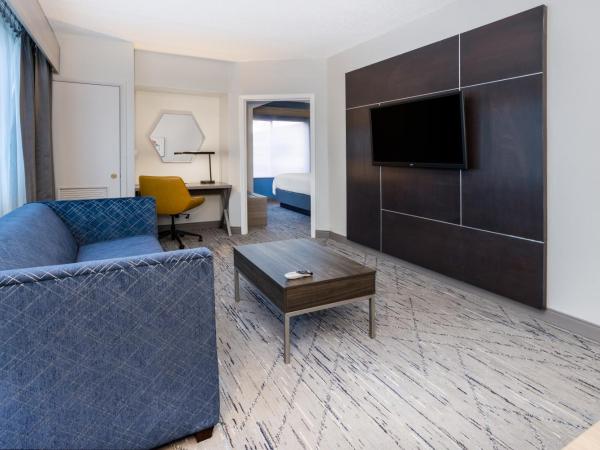 Holiday Inn Express and Suites Tampa I-75 at Bruce B. Downs, an IHG Hotel : photo 5 de la chambre suite 2 chambres