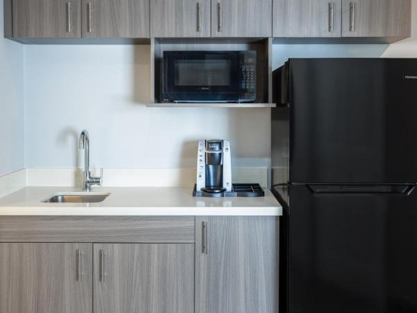 Holiday Inn Express and Suites Tampa I-75 at Bruce B. Downs, an IHG Hotel : photo 1 de la chambre suite 2 chambres