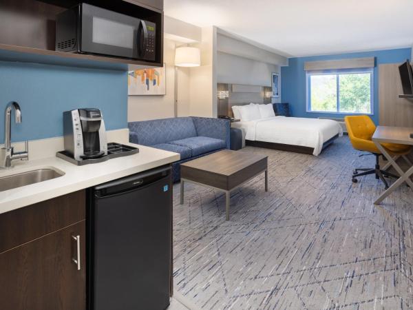 Holiday Inn Express and Suites Tampa I-75 at Bruce B. Downs, an IHG Hotel : photo 2 de la chambre suite lit king-size – non-fumeurs