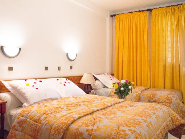 Hotel Sindibad : photo 4 de la chambre chambre double - vue sur jardin