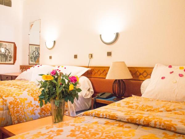 Hotel Sindibad : photo 5 de la chambre chambre double - vue sur jardin