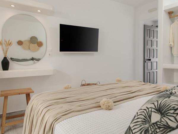 Naxos Hotel Poseidon : photo 4 de la chambre chambre double standard