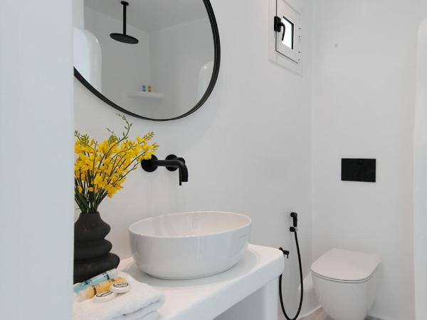 Naxos Hotel Poseidon : photo 3 de la chambre chambre double standard