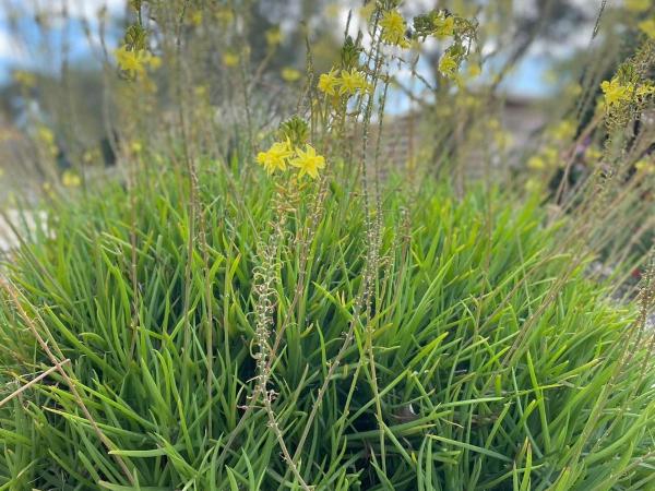 Château Catherine de Montgolfier B&B et Gites : photo 3 de la chambre chambre double