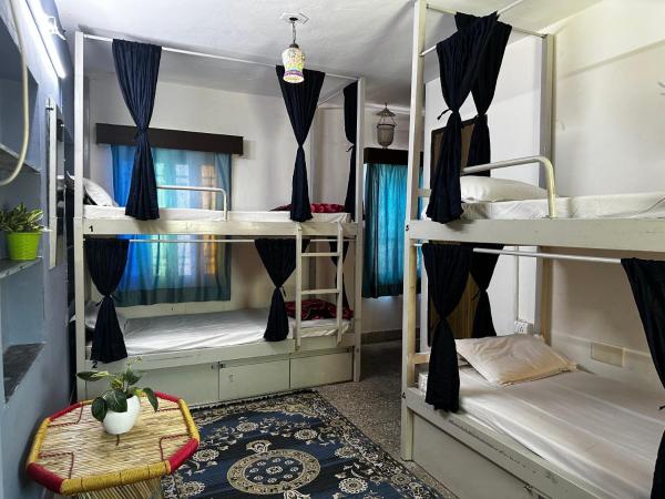 Dreamyard Udaipur : photo 4 de la chambre lit dans dortoir mixte de 4 lits