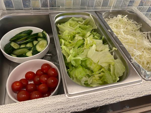 Hotel Alps : photo 3 de la chambre chambre lit queen-size deluxe