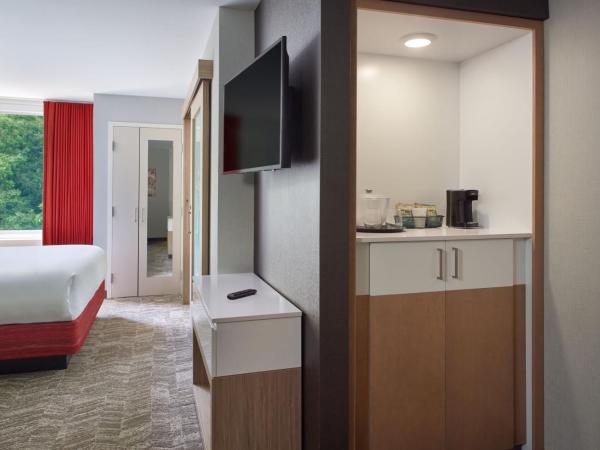 SpringHill Suites by Marriott Atlanta Northwest : photo 5 de la chambre studio suite with 1 king, trundle bed