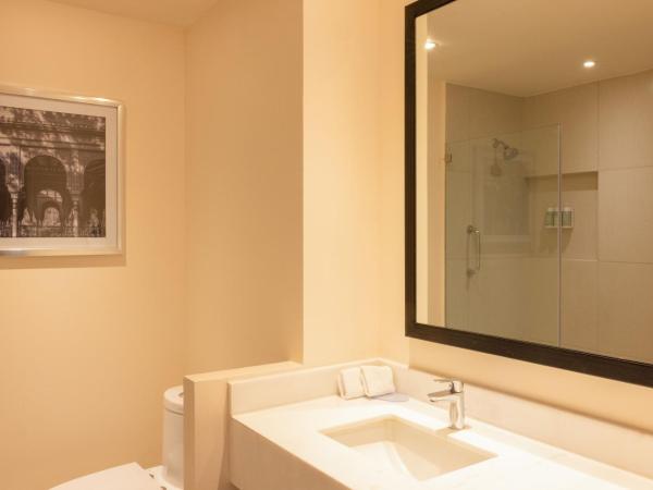 Fairfield Inn & Suites by Marriott Mexico City Vallejo : photo 3 de la chambre chambre lit king-size