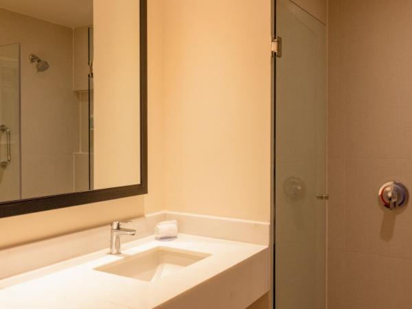 Fairfield Inn & Suites by Marriott Mexico City Vallejo : photo 4 de la chambre chambre lit king-size