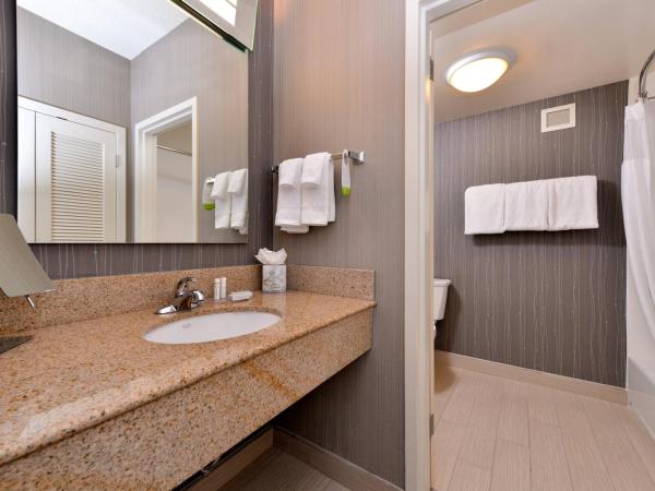 Courtyard by Marriott Dallas Northwest : photo 3 de la chambre chambre lit king-size avec canapé-lit