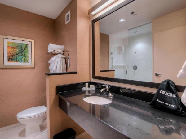 Fairfield Inn & Suites by Marriott Charlotte Airport : photo 3 de la chambre chambre lit king-size