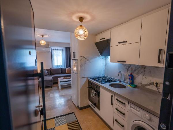 İlya Apart 2 : photo 1 de la chambre appartement 1 chambre