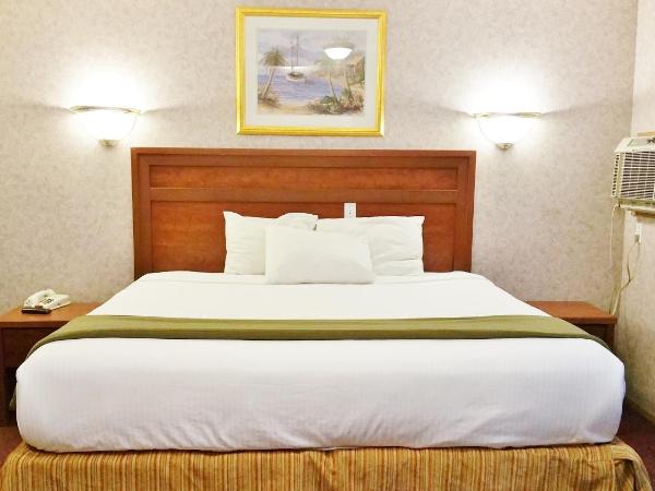 Alpine Motel : photo 2 de la chambre chambre lit queen-size 