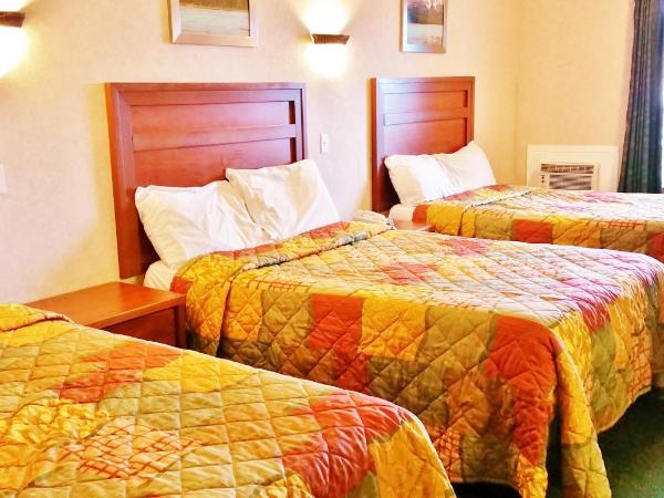 Alpine Motel : photo 5 de la chambre chambre double avec 3 lits doubles