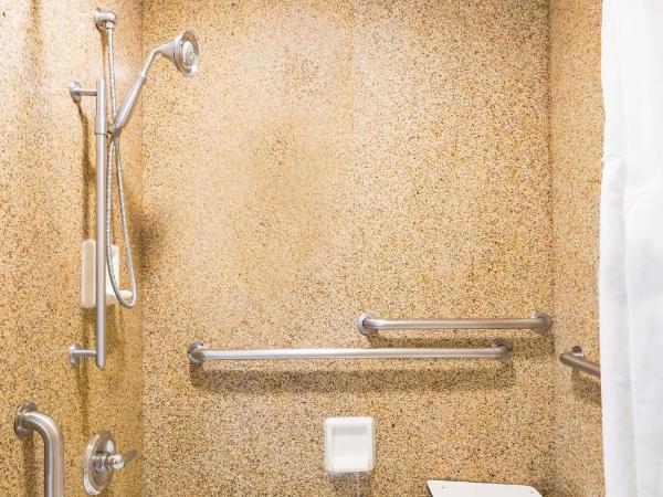 GreenTree Inn San Diego Mission Bay : photo 2 de la chambre chambre lit king-size pour personnes à mobilité réduite – douche accessible en fauteuil roulant - non-fumeurs