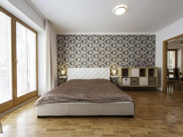 Hotel Garni Pod Skalkou : photo 10 de la chambre appartement (2 adultes)