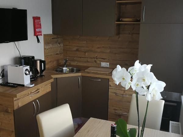 Nockhof : photo 1 de la chambre appartement avec vue sur la montagne