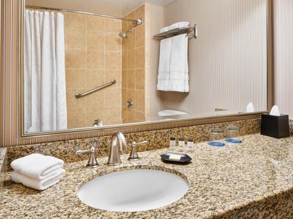 Sheraton Inner Harbor Hotel : photo 7 de la chambre grande chambre traditionnelle avec 1 lit king-size - vue sur ville