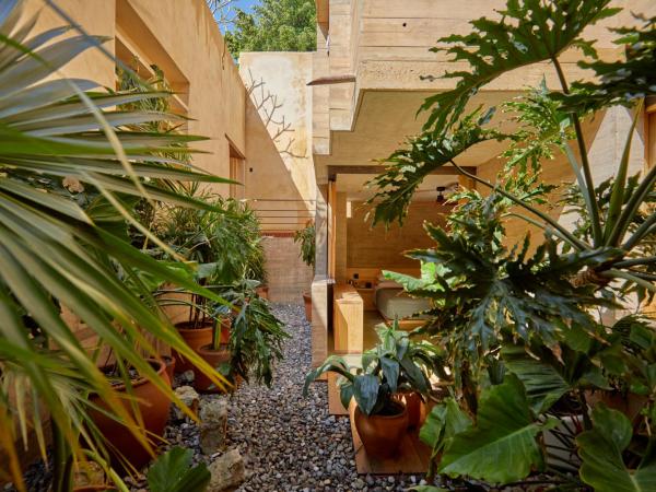 Hotel Escondido Oaxaca, a Member of Design Hotels : photo 4 de la chambre chambre avec terrasse